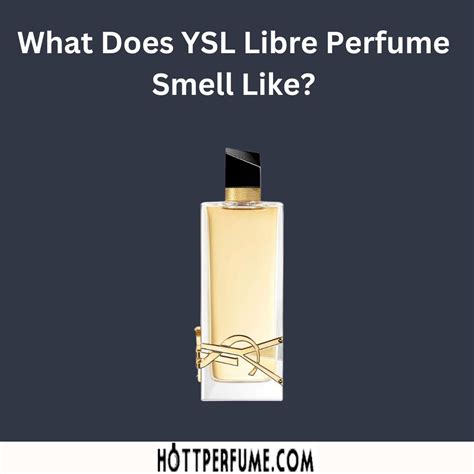 ysl cologne deals|what does ysl smell like.